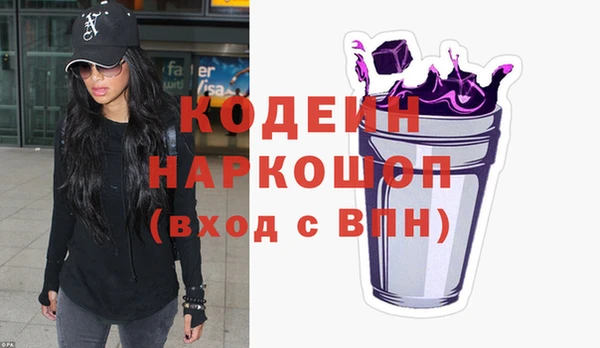 хмурый Абаза