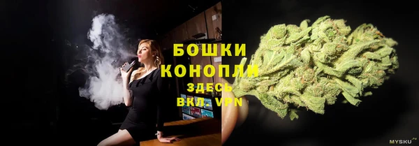 гидра Протвино