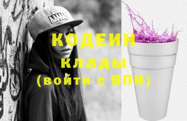 хмурый Абаза