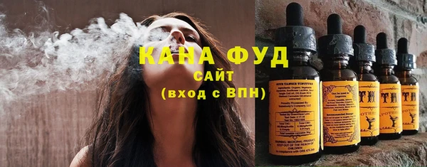 хмурый Абаза