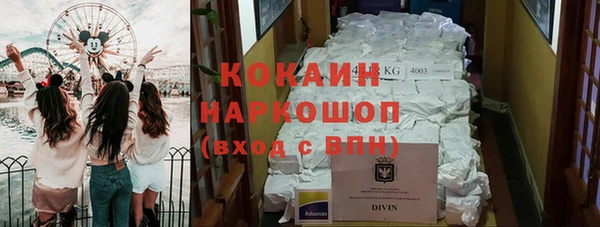 хмурый Абаза