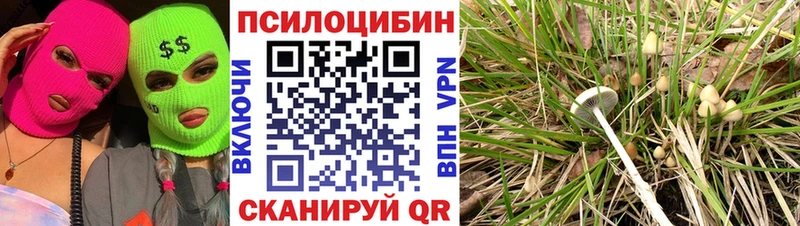 купить наркотик  Гагарин  Галлюциногенные грибы Psilocybine cubensis 